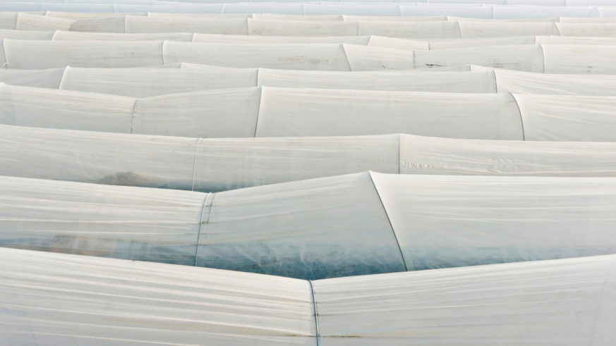"Example of Cargill's photography princples showing rows of argiculture greenhouses from above."