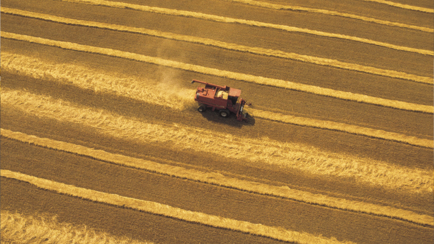 "Example of Cargill's photography princples showing a combine harvester working in a golden wheat field, leaving neat rows of harvested crop behind."